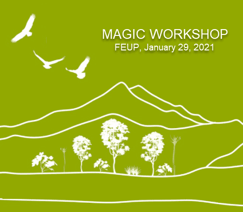 MAGIC Workshop 2021